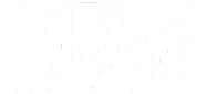 Blizzard Entertainment Logo